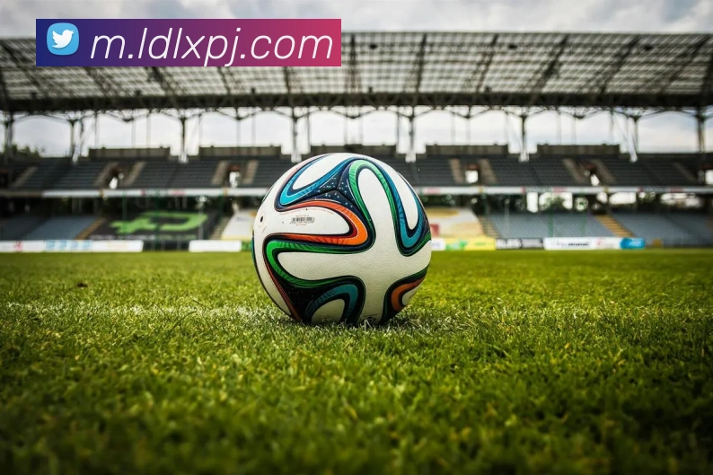 新葡京娱乐平台生态图