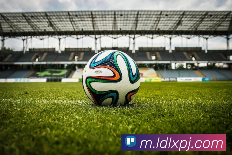 新葡京娱乐APP 封面图